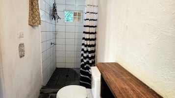 Shower, towels, toilet paper