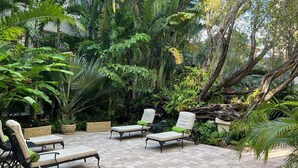 Un espace patio aménagé avec quatre chaises longues, entouré d’une végétation tropicale luxuriante et doté d’un sol en pierre.