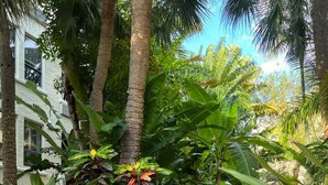 Un chemin pavé, bordé d’une végétation luxuriante comprenant diverses plantes tropicales et un grand pot décoratif.