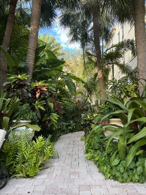 Ein gepflasterter Weg, umgeben von üppiger tropischer Vegetation und Palmen, führt zu einem Gebäude mit weißer Fassade.