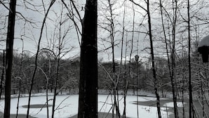Un paysage enneigé avec des arbres et un lac gelé.