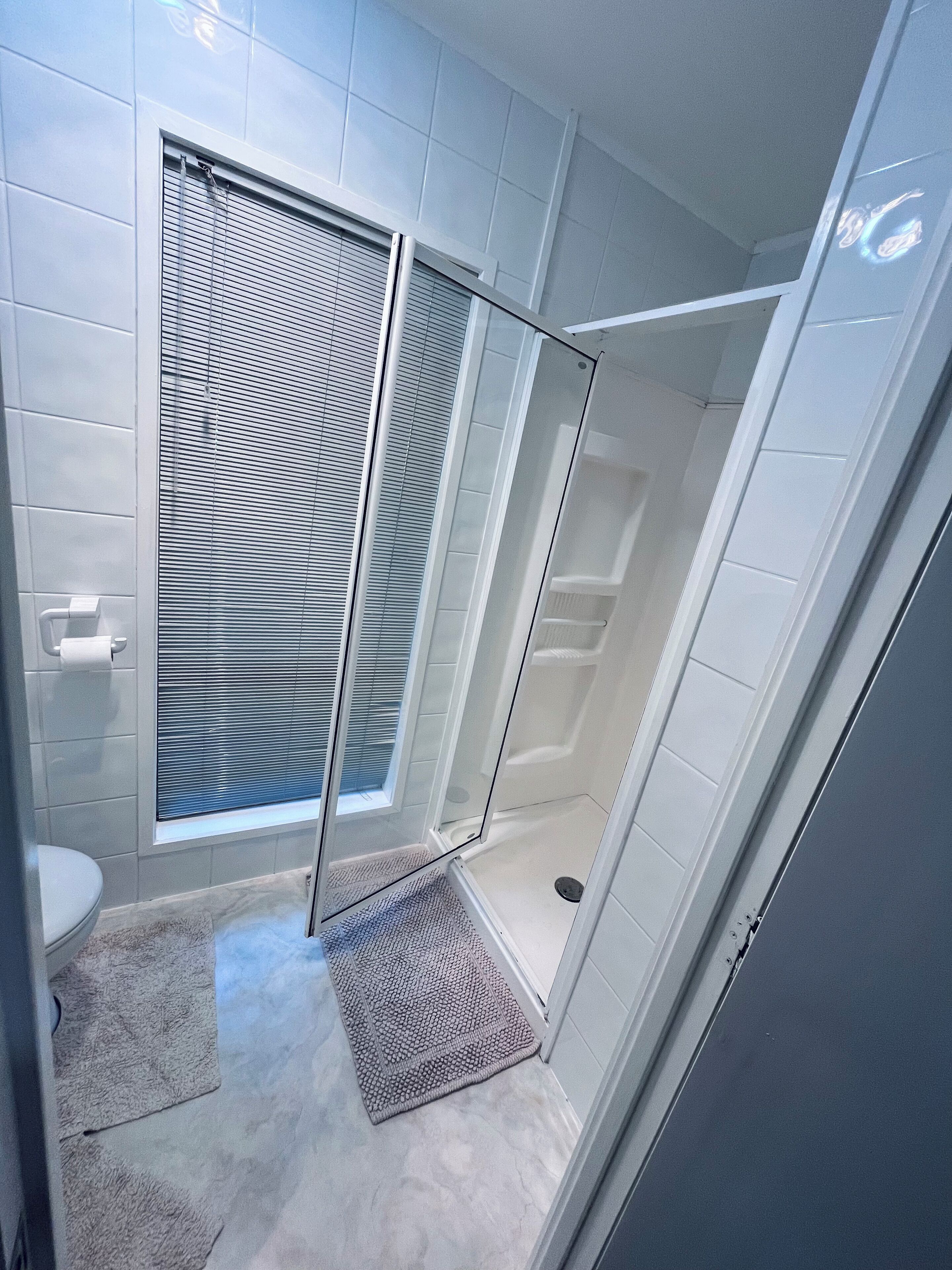 Shower, hair dryer, towels, toilet paper