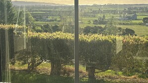 A view through a window of a vineyard with rows of grapevines and a distant landscape including fields and buildings. - Far North holiday base with panoramic coastline outlook and comfy sleepout (Kaitaia)