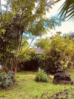 A lush garden with various plants and a rock structure.