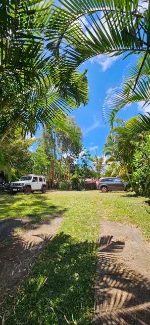 Un jardín exuberante con un sendero de tierra, palmeras y dos coches aparcados.