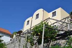 Esterni