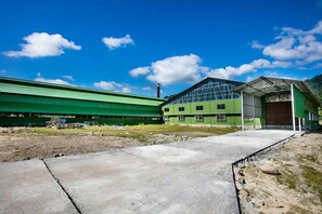 Ropes course (team building) - Papumpare Jungle Resort (Papumpare)