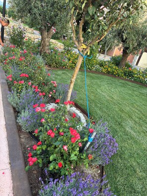 Property grounds - New Nature & Sea House – Walk to the Beach | Garden & Veranda – Olbia (Olbia)