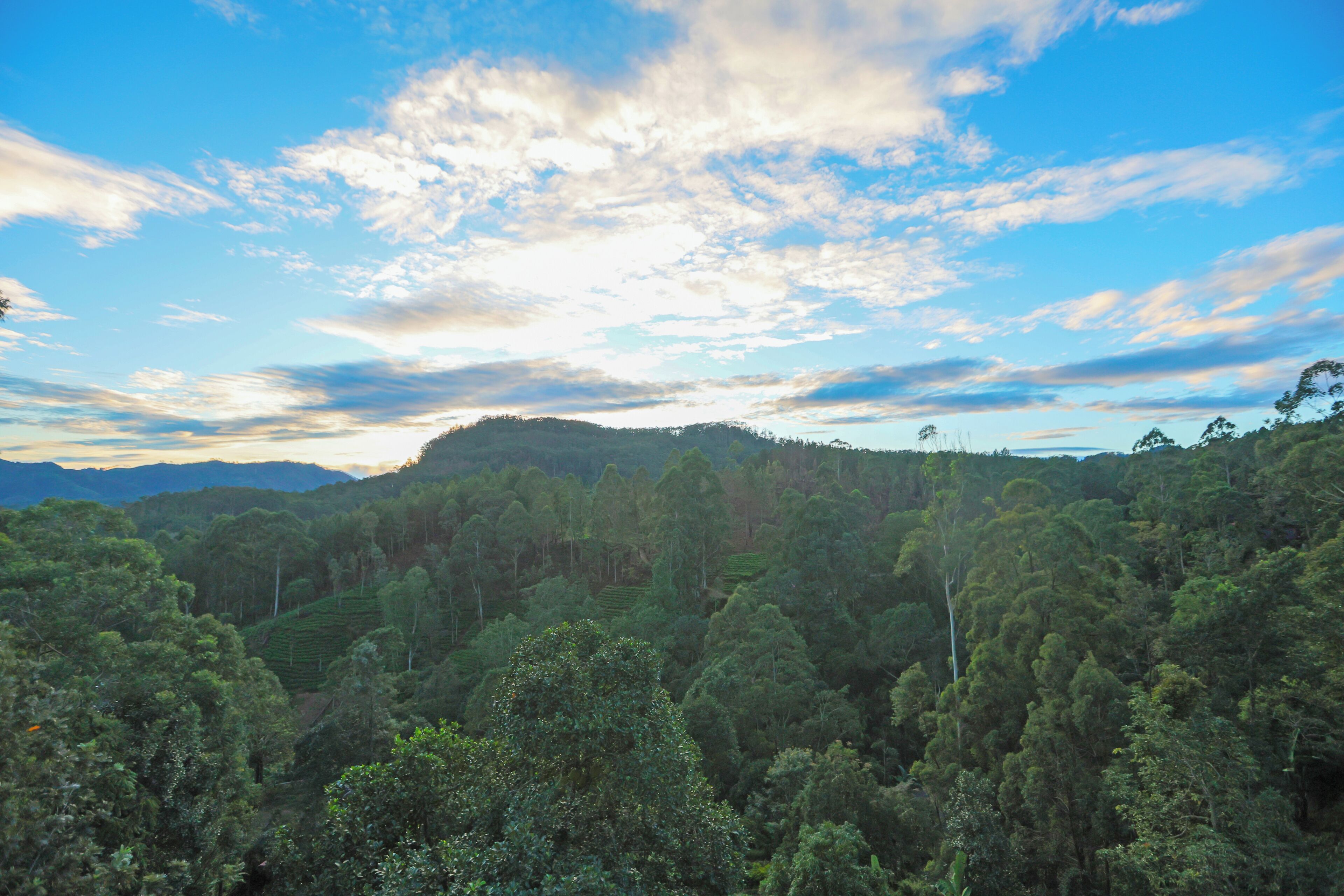 A lush, green landscape with dense forest and rolling hills under a partly cloudy sky.