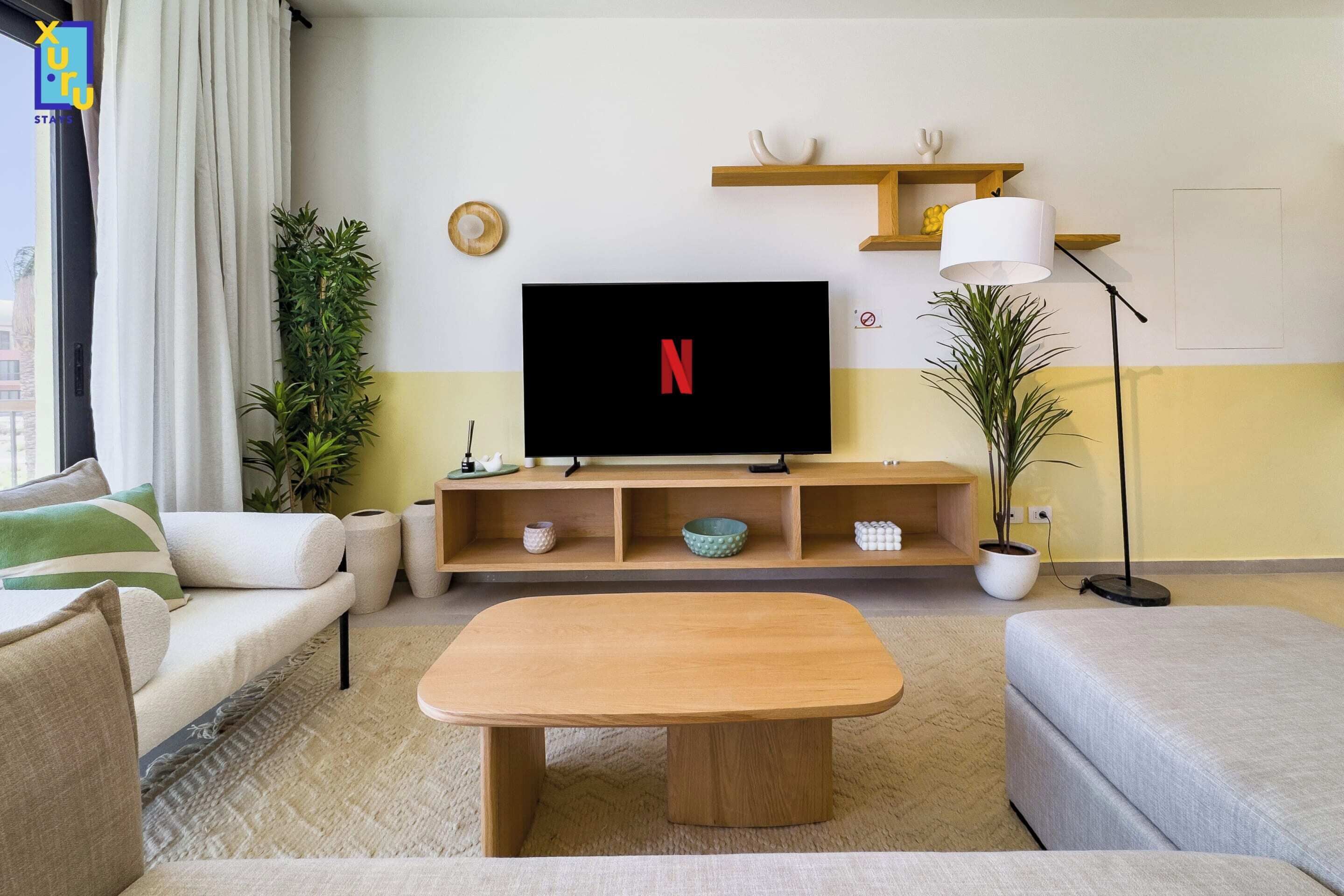 Basic Apartment | Living area | 55-inch TV with cable channels
