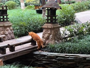 Quang cảnh từ phòng