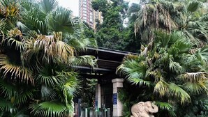 A building entrance with a stone elephant statue, surrounded by lush tropical plants. - Deer's Return - Riverside Summer Homestay - Beibin Road (Chongqing)