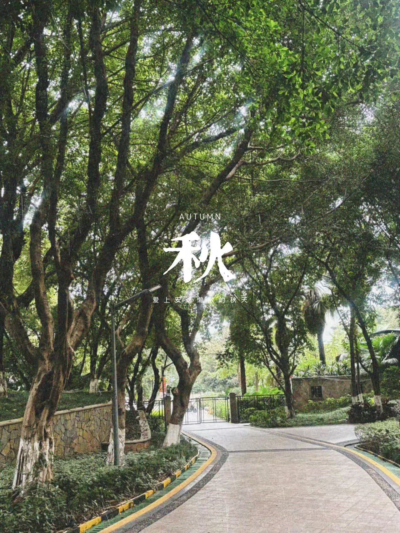 A pathway lined with trees, leading to a gate.
