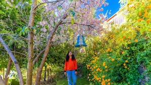 A pathway in a garden with blooming trees and a blue hanging lantern. - PACK Mukteshwar (Kosiyakutoli)