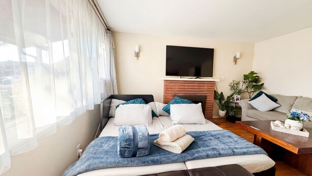 Una habitación de hotel moderna con una cama grande, un televisor de pantalla plana sobre una chimenea, un sofá y una mesa de centro.