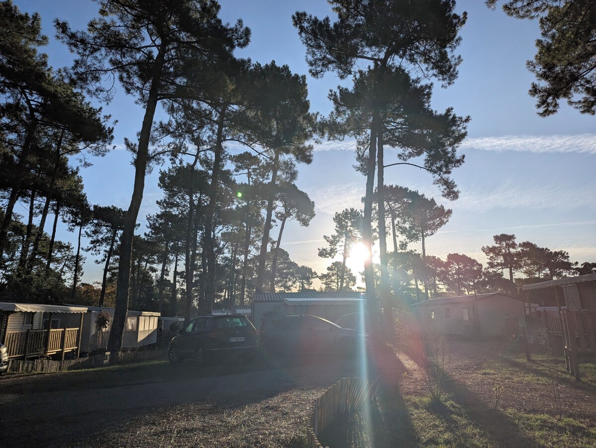 オーナーのプロフィール画像