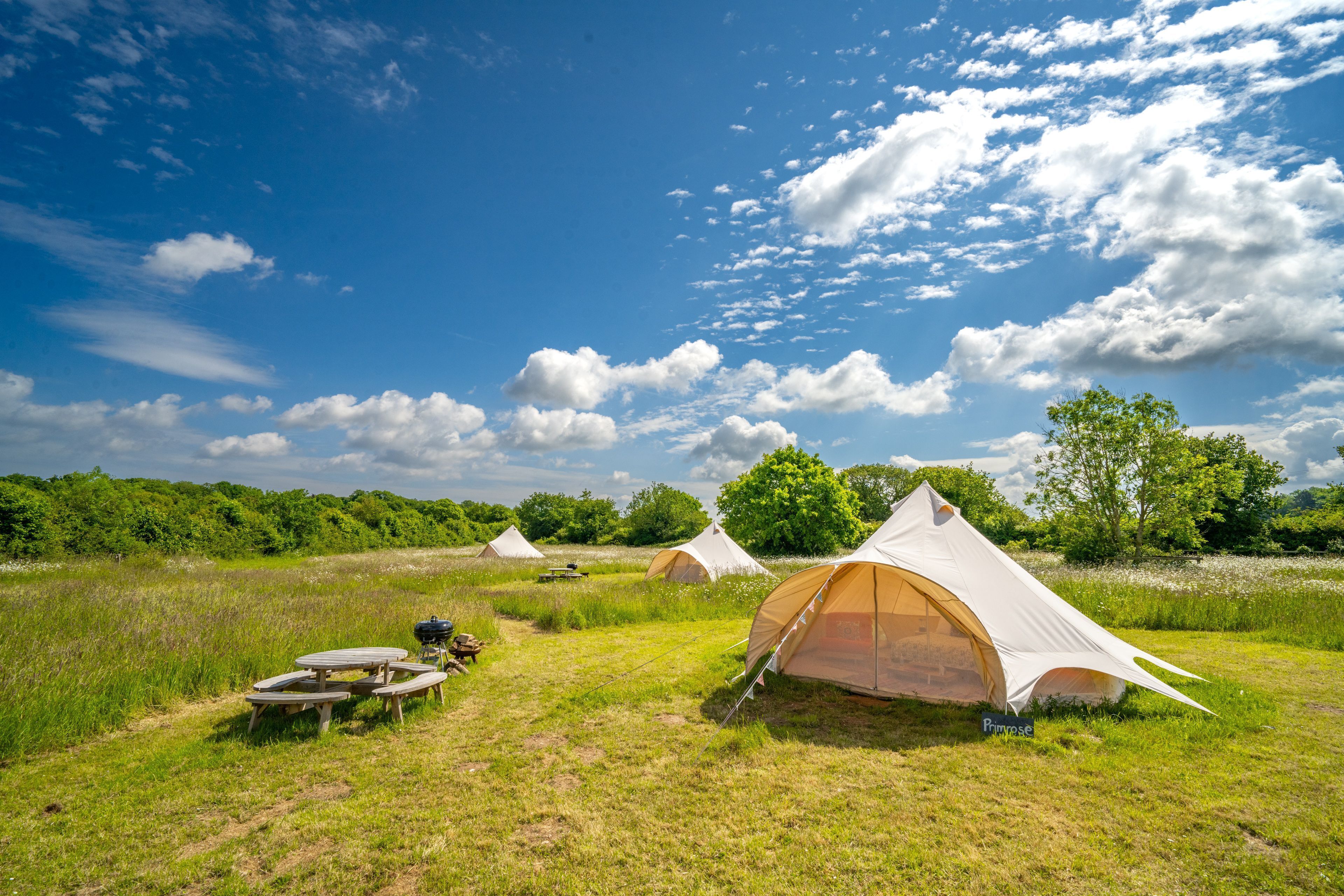 A campsite with several tents, picnic tables, and a grill area.