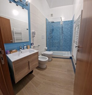 Dusche, Haartrockner, Bidet, Handtücher