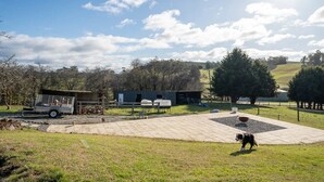 A spacious outdoor area with a paved patio, a small building, and a fenced enclosure.