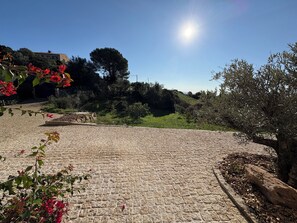 Property grounds - 🌟 Premium studio with terrace - Sea & mountain view - Ajaccio (periphery) (Cuttoli corticchiato)