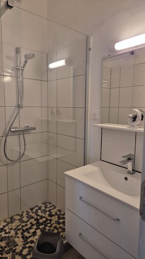 Shower, hair dryer, towels, toilet paper