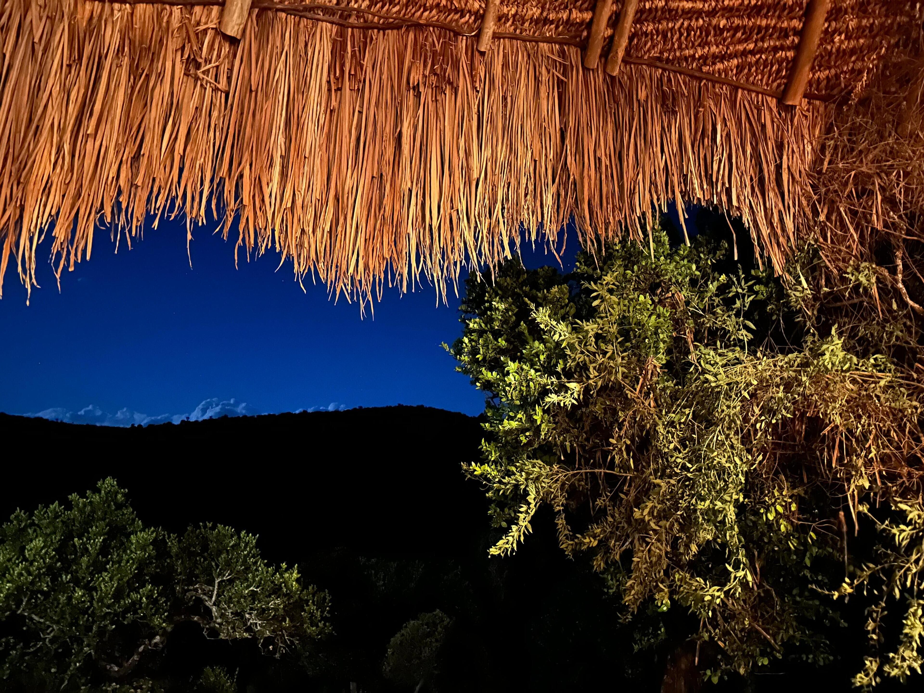 Estructura con techo de paja y vistas a una montaña y follaje denso.