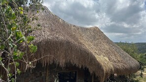 Vista frontal de la propiedad