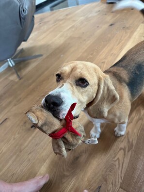 Front of property - PEN Smart Hotel (Türkheim)