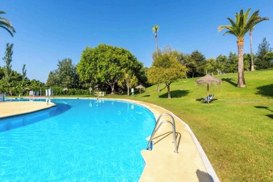 A clear swimming pool with a curved edge, surrounded by well-maintained grass and palm trees.