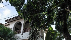 A building with a white facade, multiple balconies, and lush greenery including palm trees and other plants. - w Bright Colonial 5BR House With Balcony (Medellín)