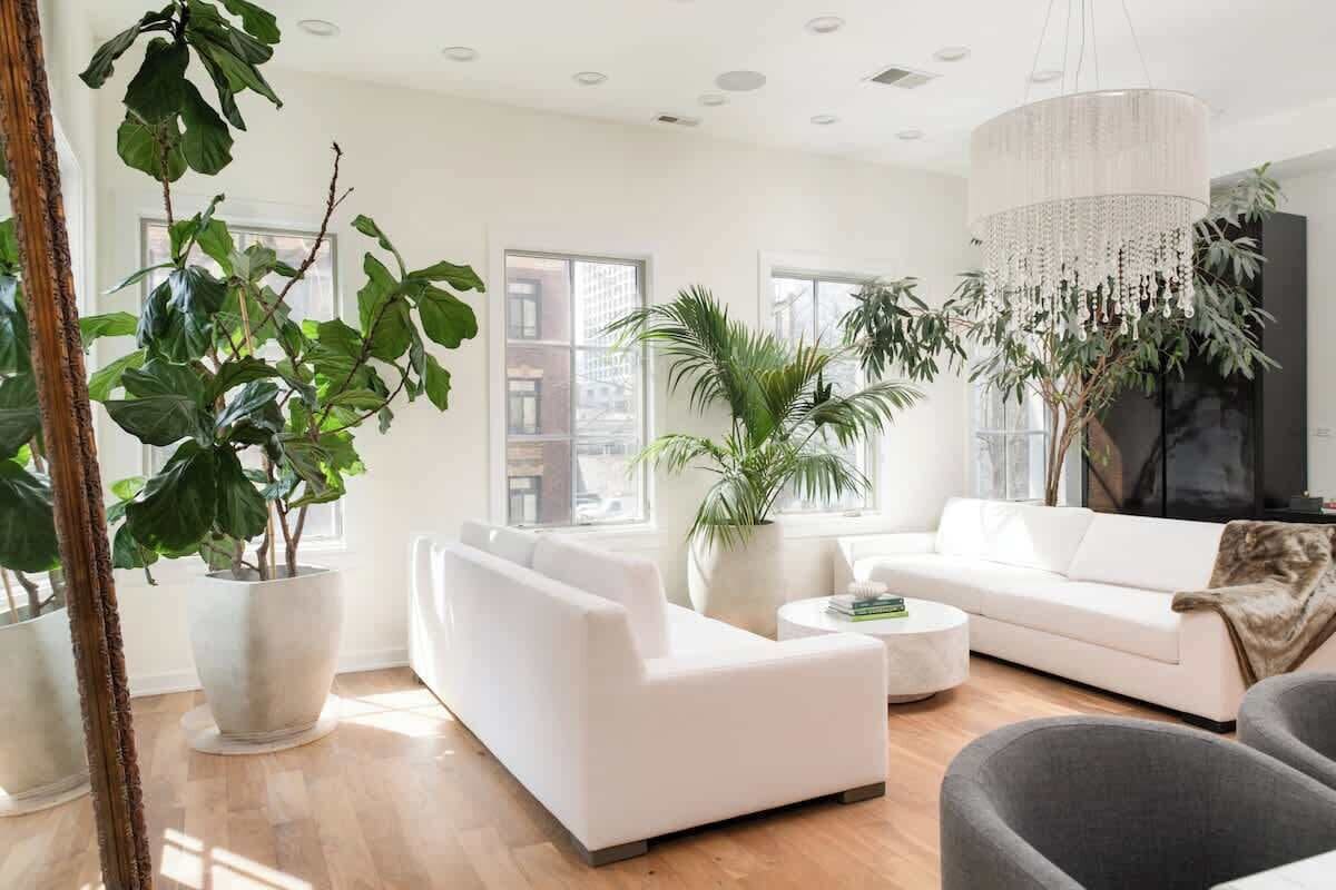 Apartment | 4 bedrooms, Internet