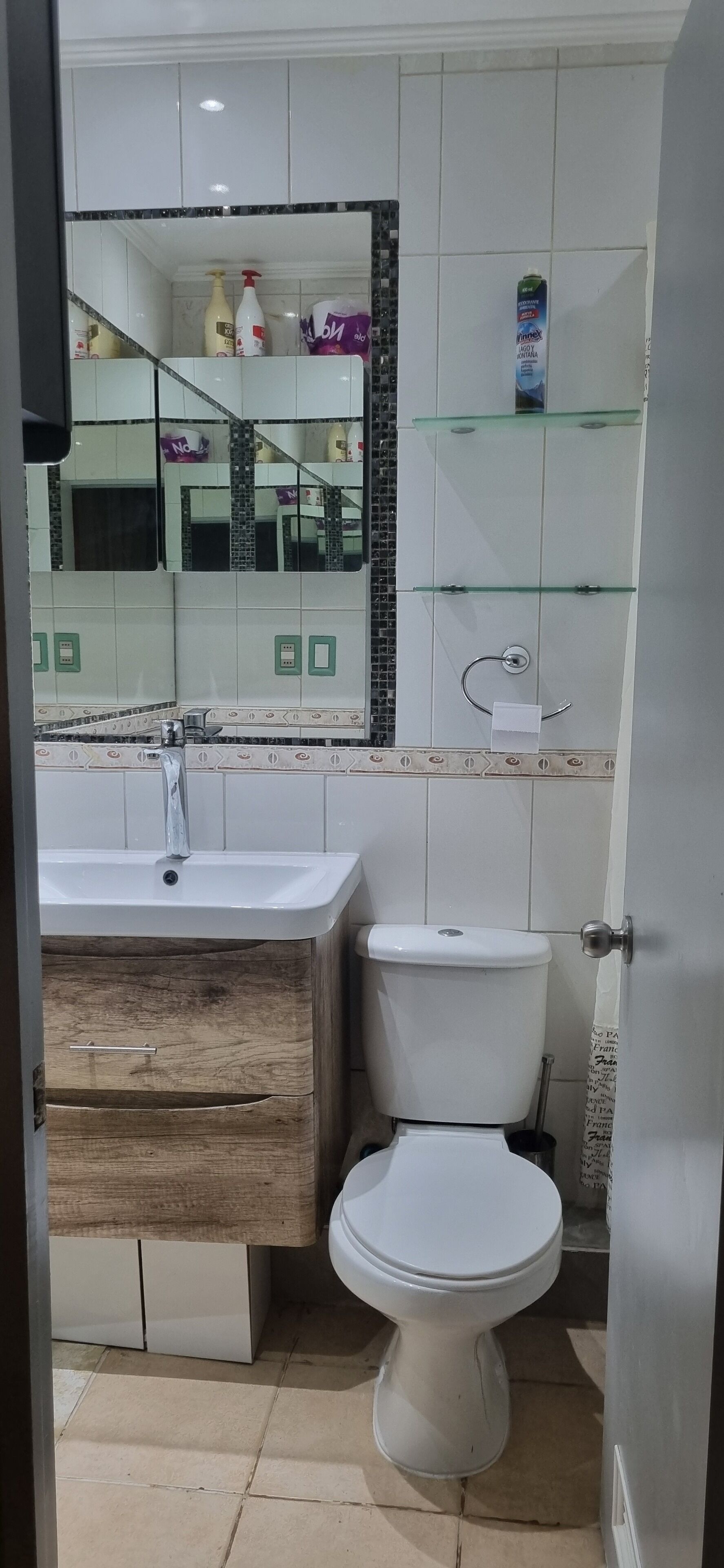 Secador de pelo, jabón, papel higiénico