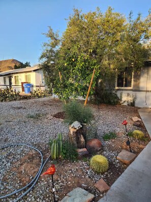 Property grounds - Perfect 1-bedroom studio with AC in peaceful Phoenix (Phoenix)