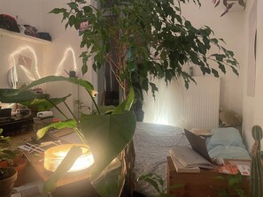 Spa - Cozy Nest/Studio - Grande Terrace, Marolles historical center of Brussels (Bruxelles)