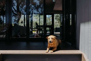 A dog lying on a wooden deck with glass doors leading to an outdoor area. - Coastal Heights—Stylish Pool Paradise for Families (Dunsborough)