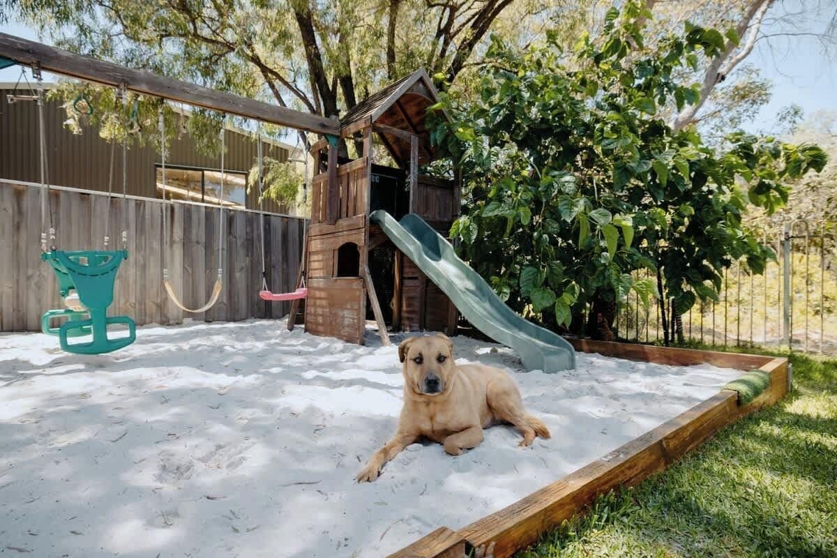 A dog in a sandy play area with a wooden structure and a slide.