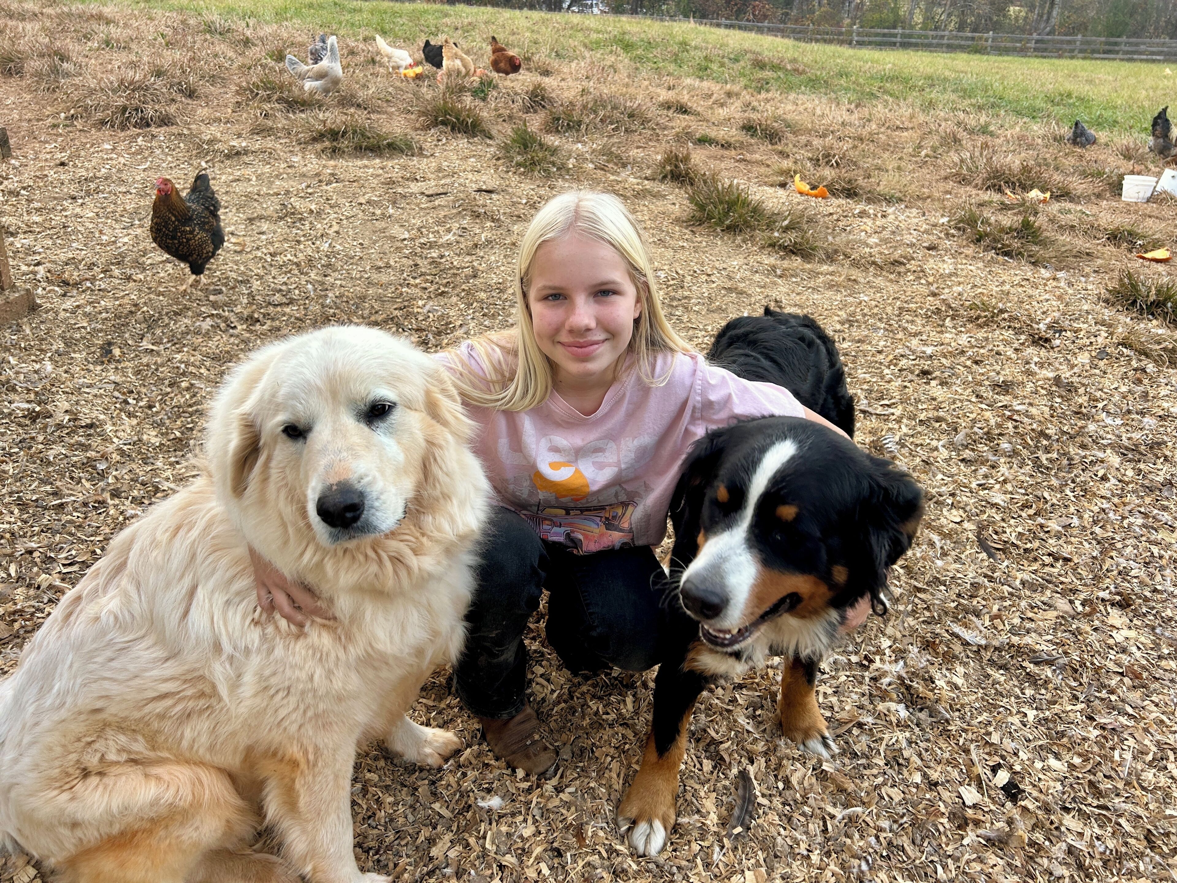 Una persona con dos perros sobre un suelo cubierto de astillas de madera.