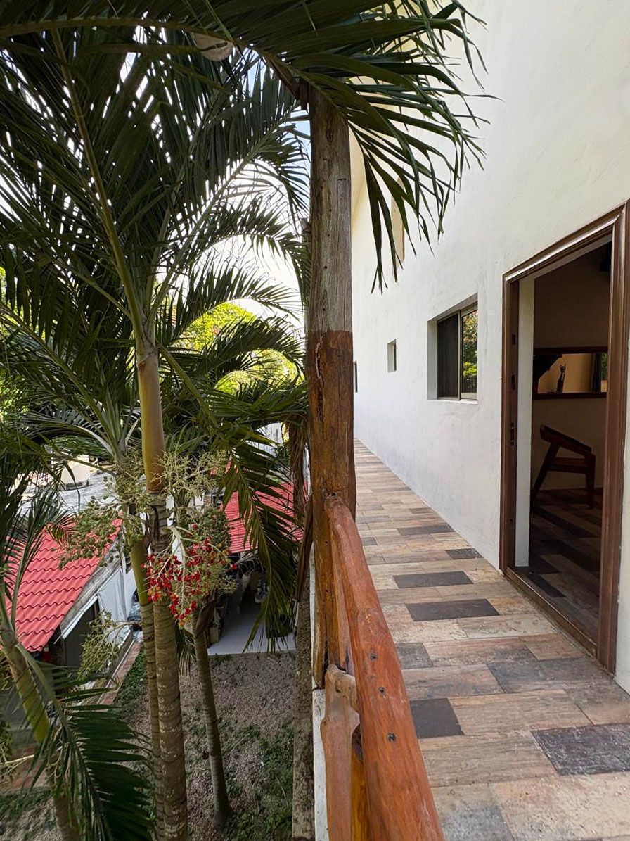 A corridor with a wooden railing, a palm tree, and a building entrance.