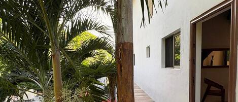 A corridor with a wooden railing, a palm tree, and a building entrance.