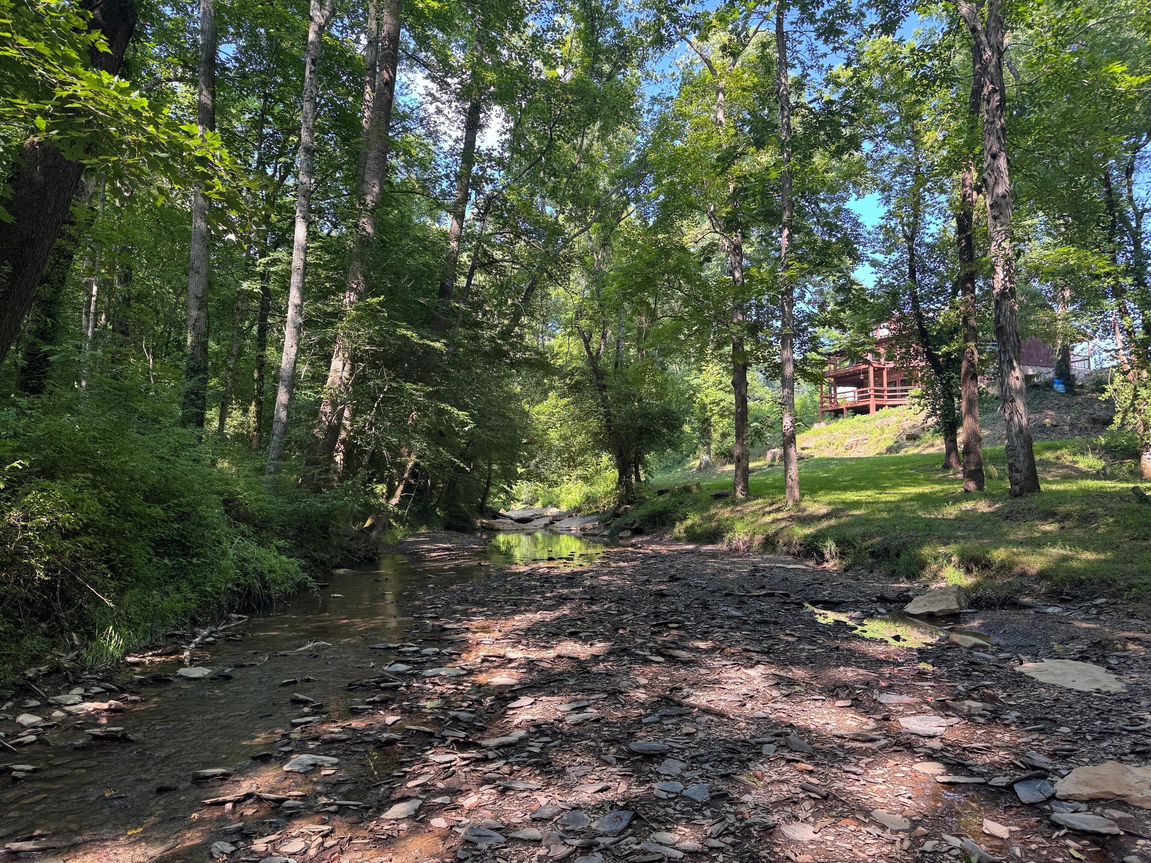 A forested area with a stream, trees, and a building in the background.
