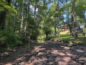 Ein bewaldetes Gebiet mit einem Bach, Bäumen und einem Gebäude im Hintergrund.