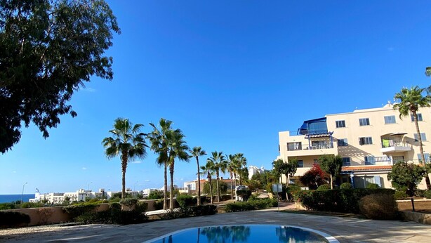Una piscina con borde de piedra, rodeada de palmeras y un edificio con balcones.