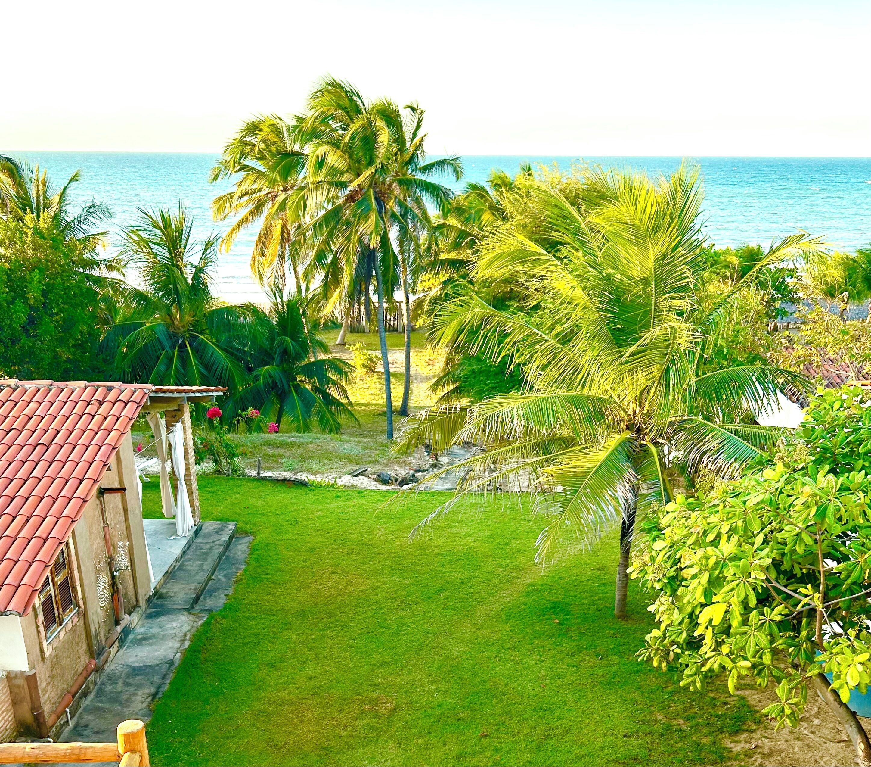 Área da propriedade