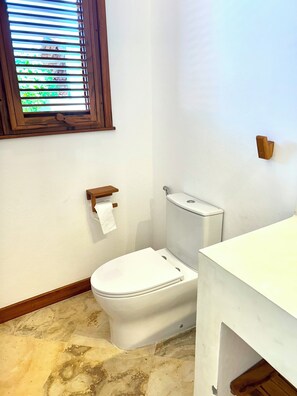 Shower, towels, toilet paper
