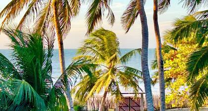 Eco Vila in front of the sea. Trairi. Fortress