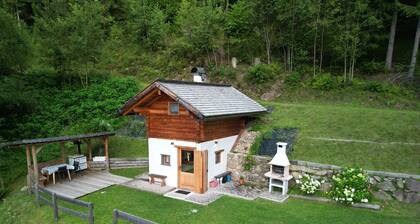 Cozy Chalet surrounded by greenery and secluded at the foot of the Dolomites