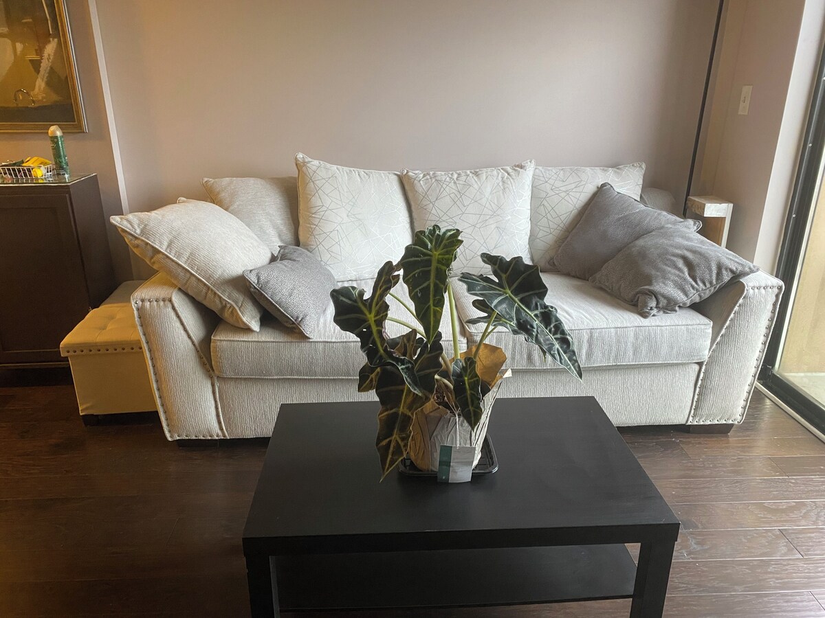 Imagen de perfil del propietario o de la propietaria