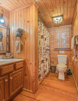 Shower, hair dryer, towels, soap - Cozy 1-bedroom cabin in beautiful Tellico Plains with AC and on Tellico River (Tellico Plains)