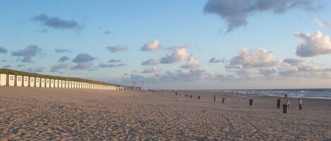 House | View from property