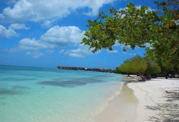 Camastros y toallas de playa 